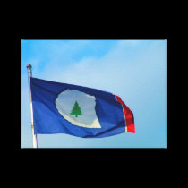 Warren County Flag canvas prints
