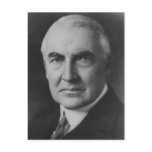 Warren G. Harding 29 Post Cards