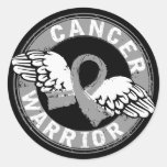 Warrior 14C Brain Cancer Sticker