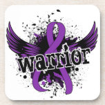 Warrior 16 Chiari Malformation Coaster