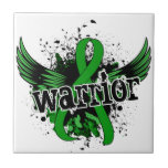 Warrior 16 Kidney Disease Tiles