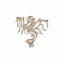 warrior dragon embroidered shirts