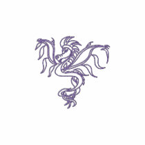 warrior dragon embroidered shirts