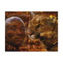 warrior postcards by laureenr warrior postcards