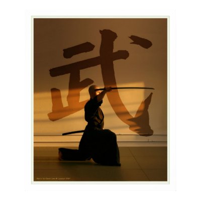 Warrior Posters by lightsail