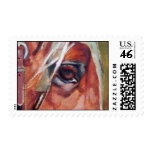 Warriors HorseEye Detail postage