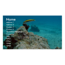 Warsse Deep In The Seas Business Card Templates