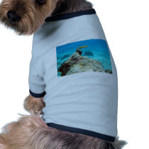 Warsse Deep In The Seas Dog Tee Shirt