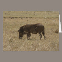 Wart Hog cards