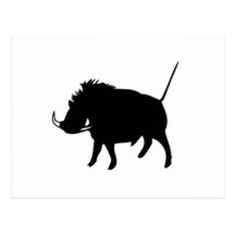 Wart Hog Post Cards