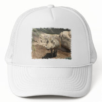Warthog Baseball Hat