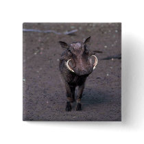 Warthog - Big Boar Pins