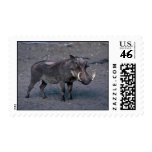 Warthog - Big Boar Stamp