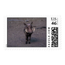 Warthog - Big Boar Stamps