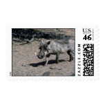Warthog - Big Boar Stamps