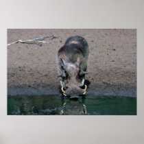 Warthog - Big Boar Posters