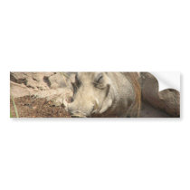 Warthog Bumper Sticker