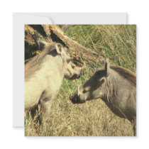 Warthog Design Invitations