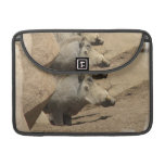 Warthog Pair 13" MacBook Sleeve MacBook Pro Sleeves