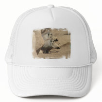 Warthog Pair Baseball Hat