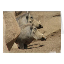 Warthog Pair Greeting Card