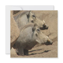 Warthog Pair Invitation