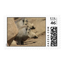 Warthog Pair Postage Stamp
