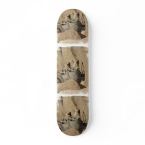 Warthog Pair Skateboard