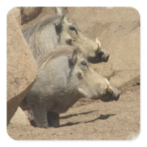 Warthog Pair Sticker