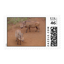 Warthog postage