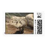 Warthog Postage Stamp