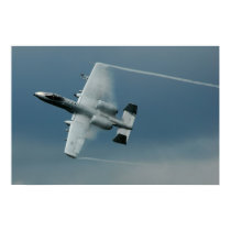 Warthog posters by Dividenda Warthog posters