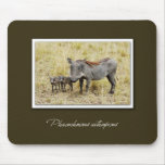 Warthog safari mousepads