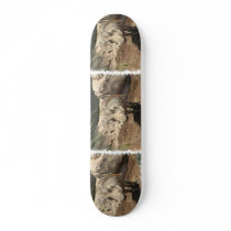 Warthog Skateboard