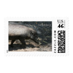 Warthog walking by palmetto stamp