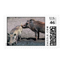 Warthogs - Boar (right) And Sow (left) Postage Stamps