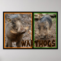 WARTHOGS - WILD ANIMAL POSTER
