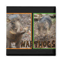 WARTHOGS - WILD ANIMALS FRIDGE MAGNETS