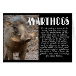 WARTHOGS with Description Greeting Card