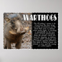 WARTHOGS with Description Poster