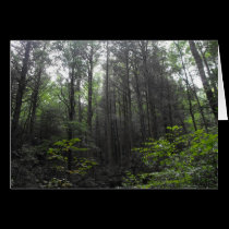 WarWoman Trees cards