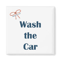 Wash The Car Reminder Magnet
