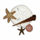Washed Ashore Ornament photo sculptures