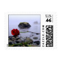 Washed Ashore Red Rose postage by beverlytazangel Washed Ashore Red Rose postage