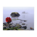 Washed Ashore Red Rose postcards by beverlytazangel Washed Ashore Red Rose postcards
