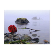 Washed Ashore Red Rose postcards by beverlytazangel Washed Ashore Red Rose postcards