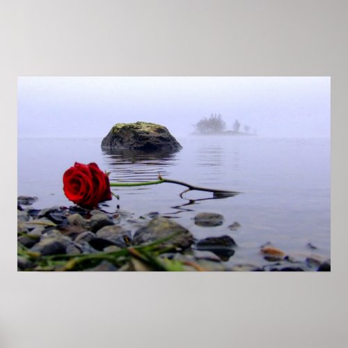 Washed Ashore Red Rose print