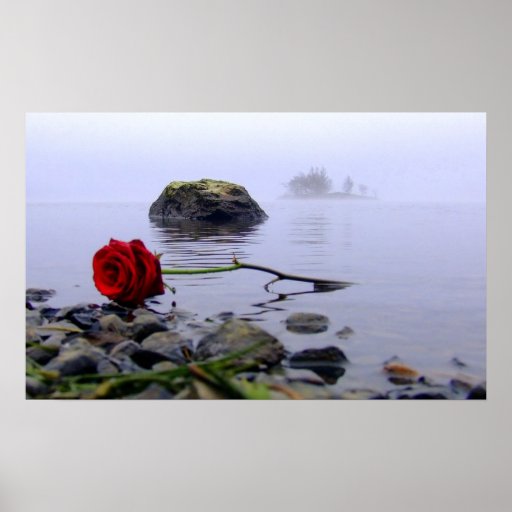 Washed Ashore Red Rose Posters
