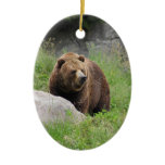 Washington Brown Bear - Ornament