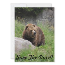 Washington Brown Bear - Party Invitation